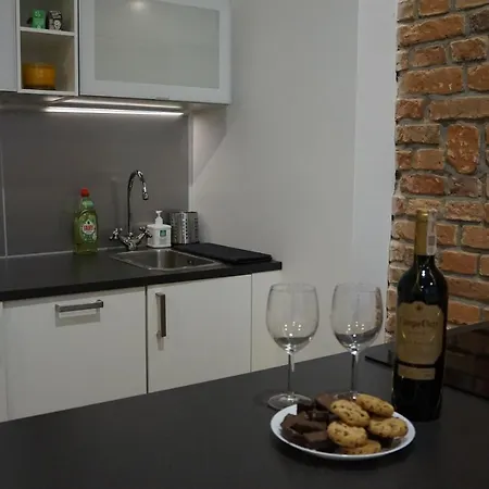 Apartament Gliwice Centrum Witkiewicza II Exterior photo